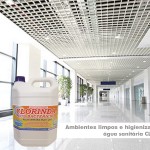 clorrinda_2