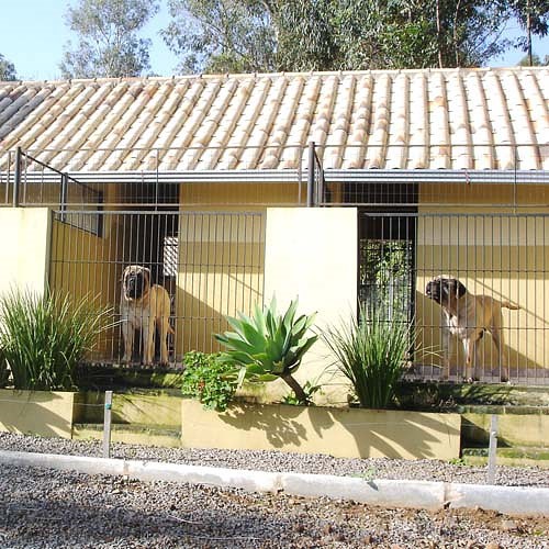 Lavar e desinfetar instalações de animais domésticos