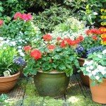 banner_1_940x450_legenda