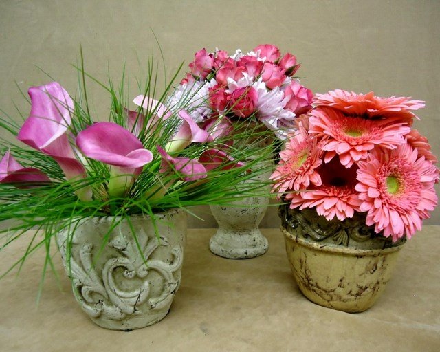 flores_2-_640x512